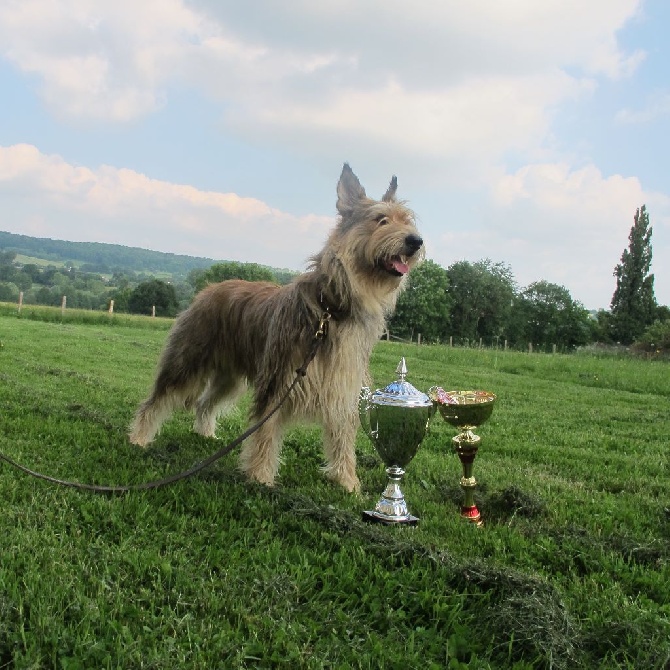 d'Ered Luin - GERRY D'ERED LUIN BEST IN SHOW N°1 EVREUX 29 Mai 