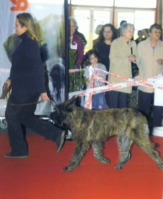 d'Ered Luin - Perigueux 22Mars Ring d'honneur pour Dwinnie