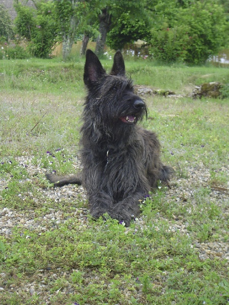 Ullya d'Ered Luin