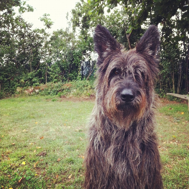 Dwinnie d'Ered Luin