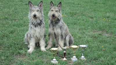 d'Ered Luin - FLEUR &FLUFFY 24 Juillet SPECIALE BERGERS PICARDS 24/07/21011JONZAC